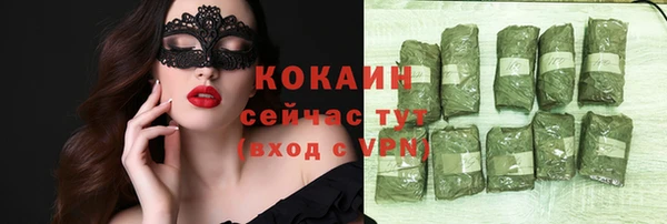 молекула духа Белоозёрский