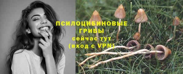молекула духа Белоозёрский