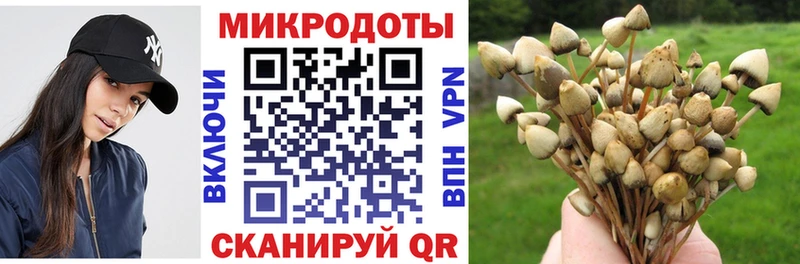 нарко площадка состав  Вяземский  Галлюциногенные грибы Cubensis 